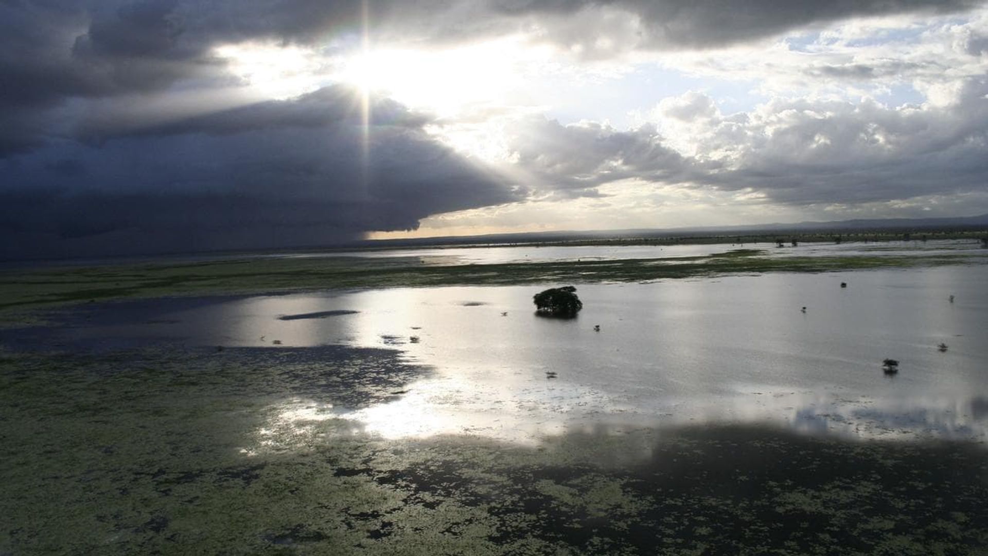 Africa's Lost Eden background