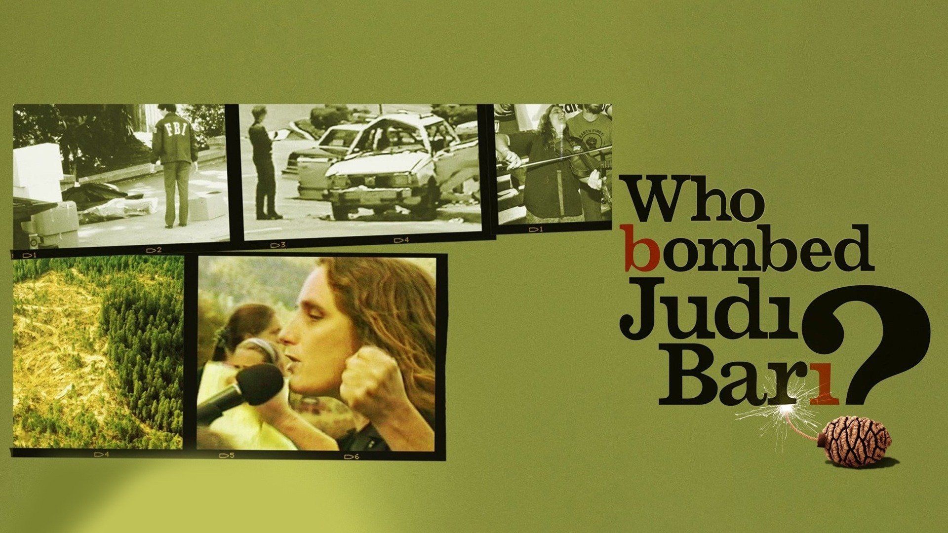 Who Bombed Judi Bari? background