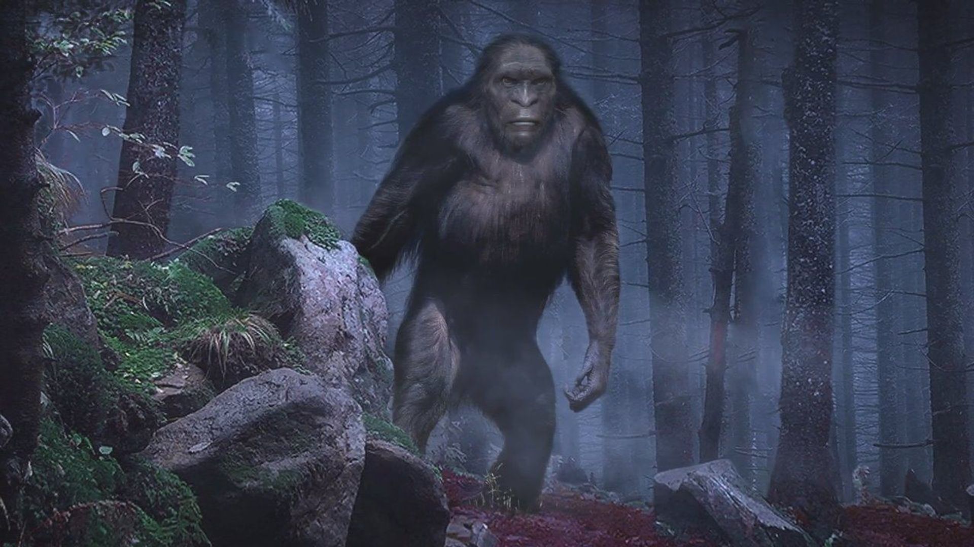 On the Trail of Bigfoot: The Discovery background