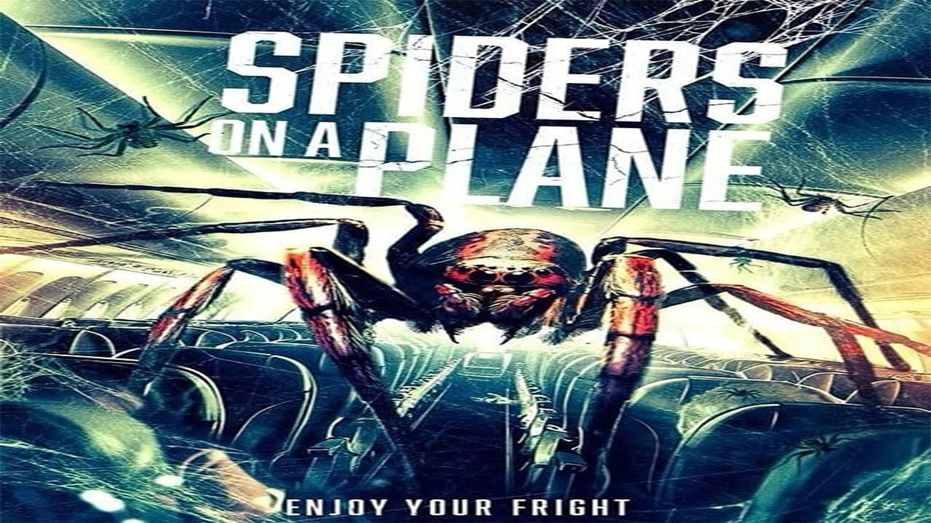 Spiders on a Plane background