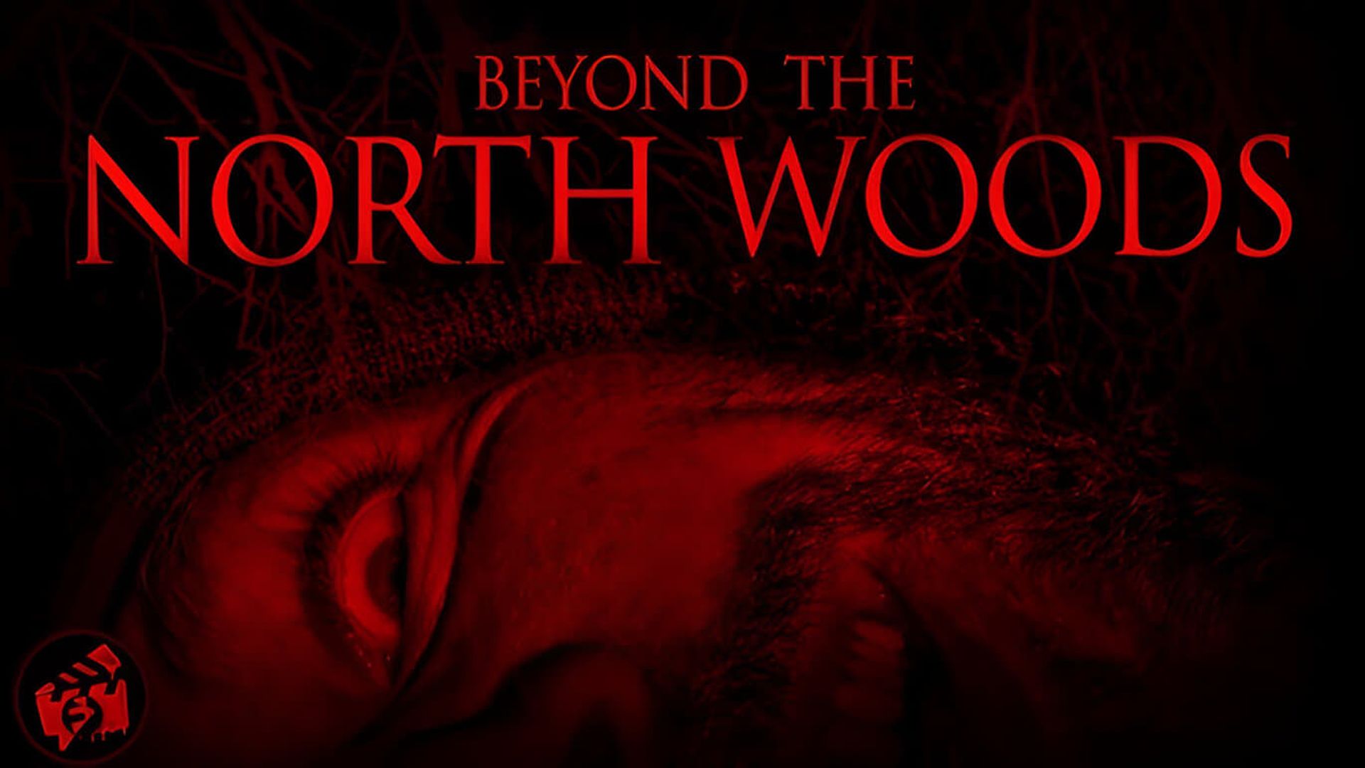 Beyond the North Woods background