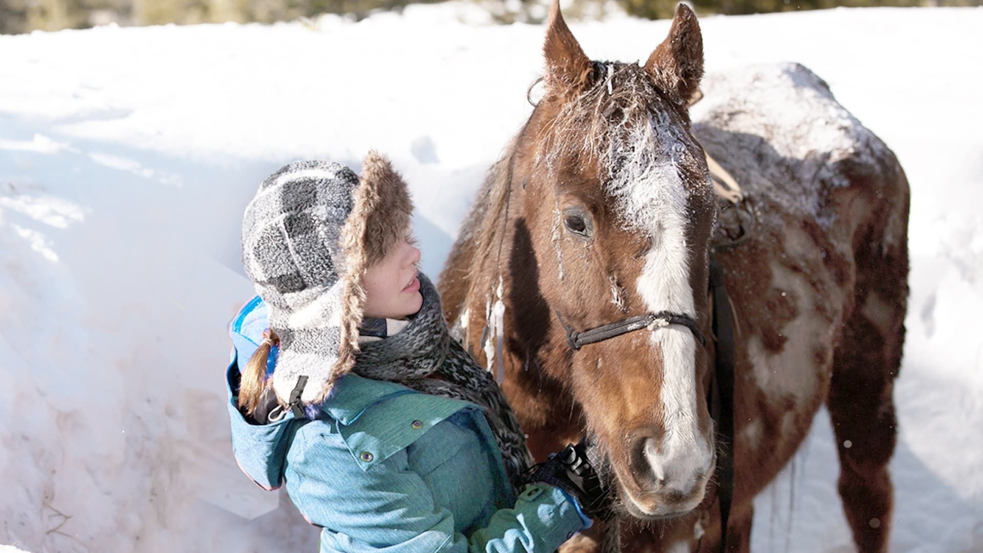 The Horses of McBride background