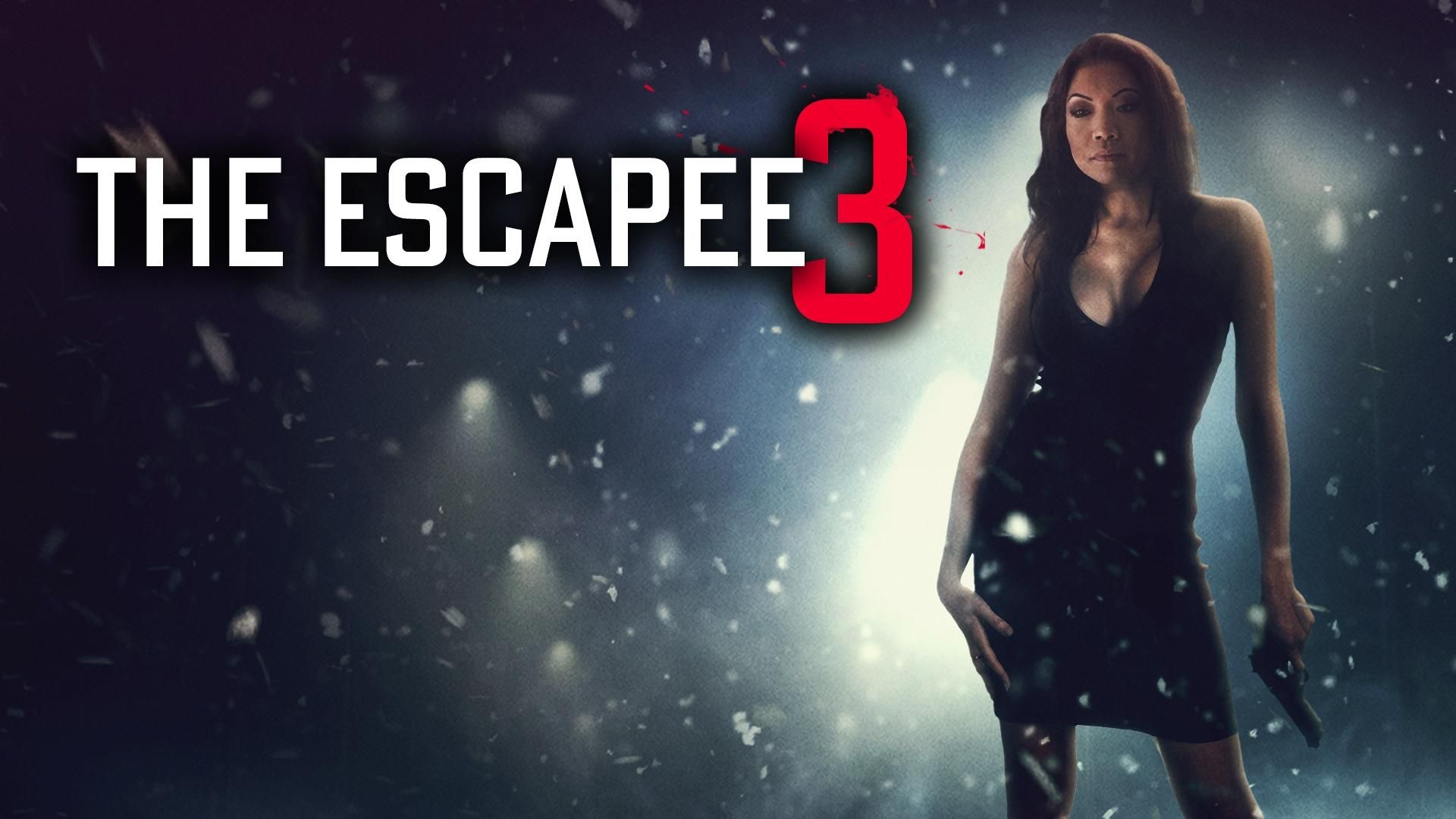 The Escapee 3: The Final Escape background