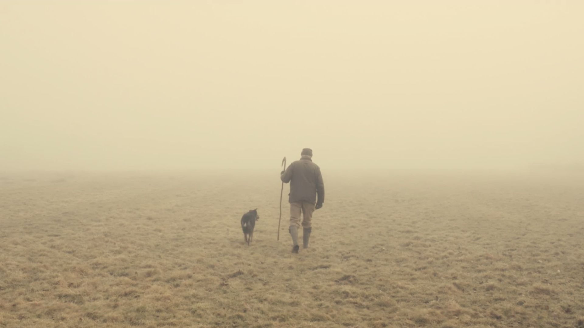 The Old Man and the Land background