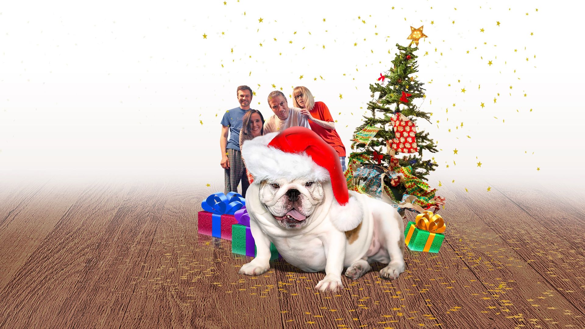 A Bulldog for Christmas background