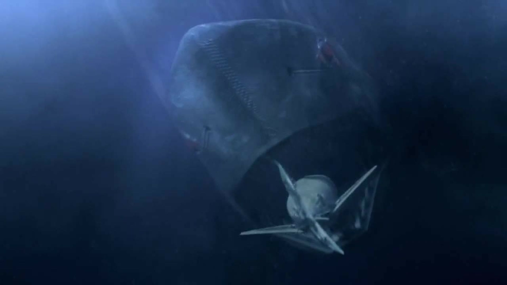 Mega Shark vs. Mecha Shark background