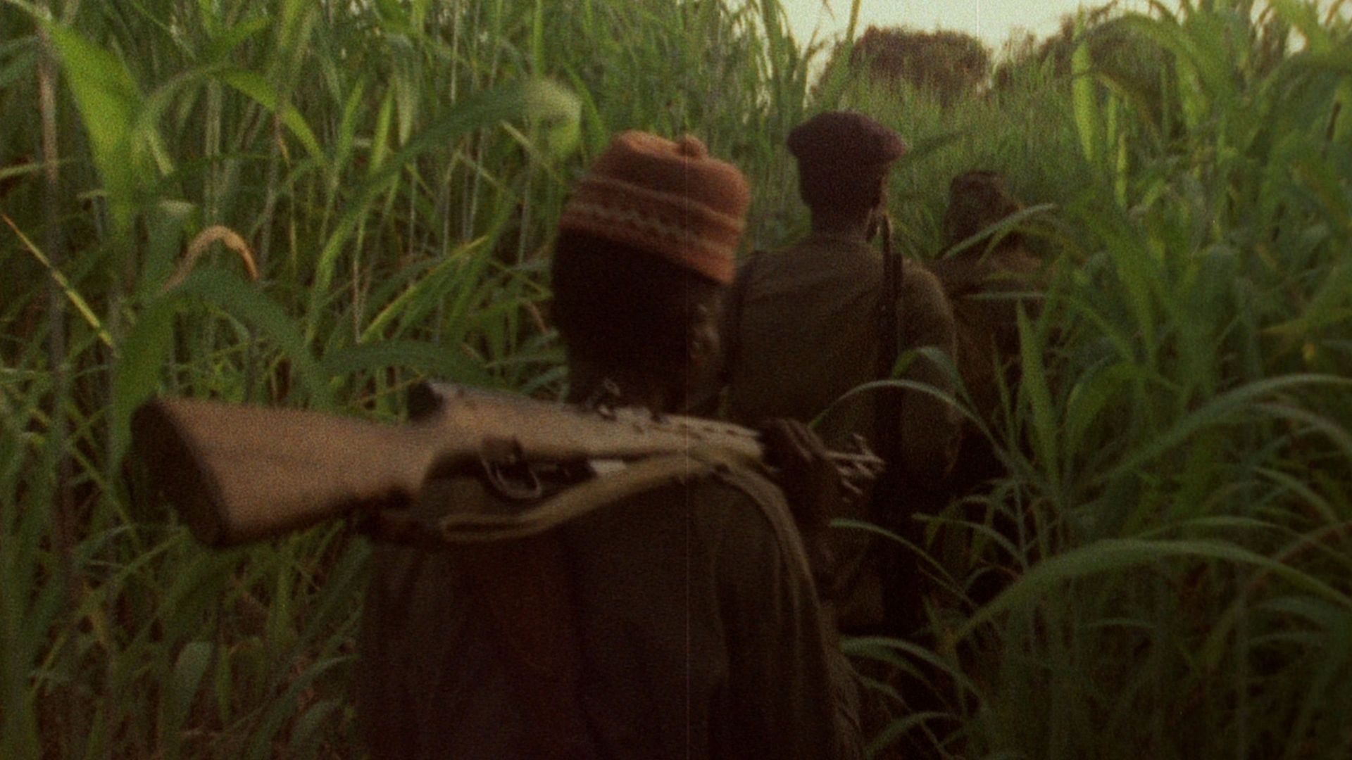 Concerning Violence background