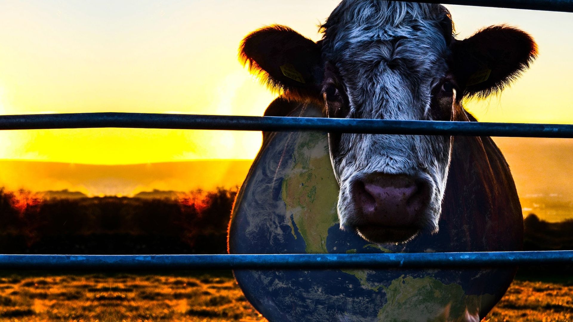 Cowspiracy: The Sustainability Secret background