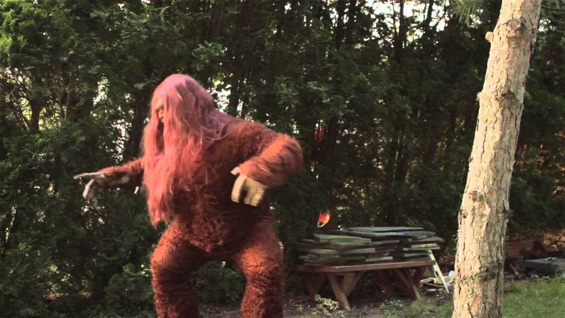 SexSquatch background