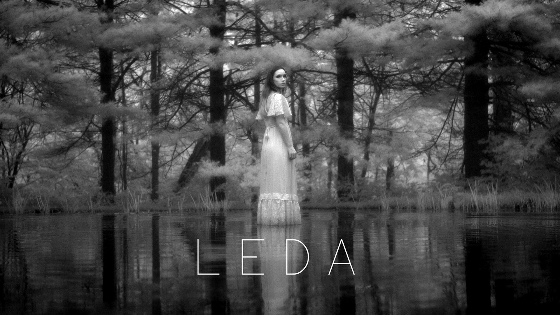 Leda background