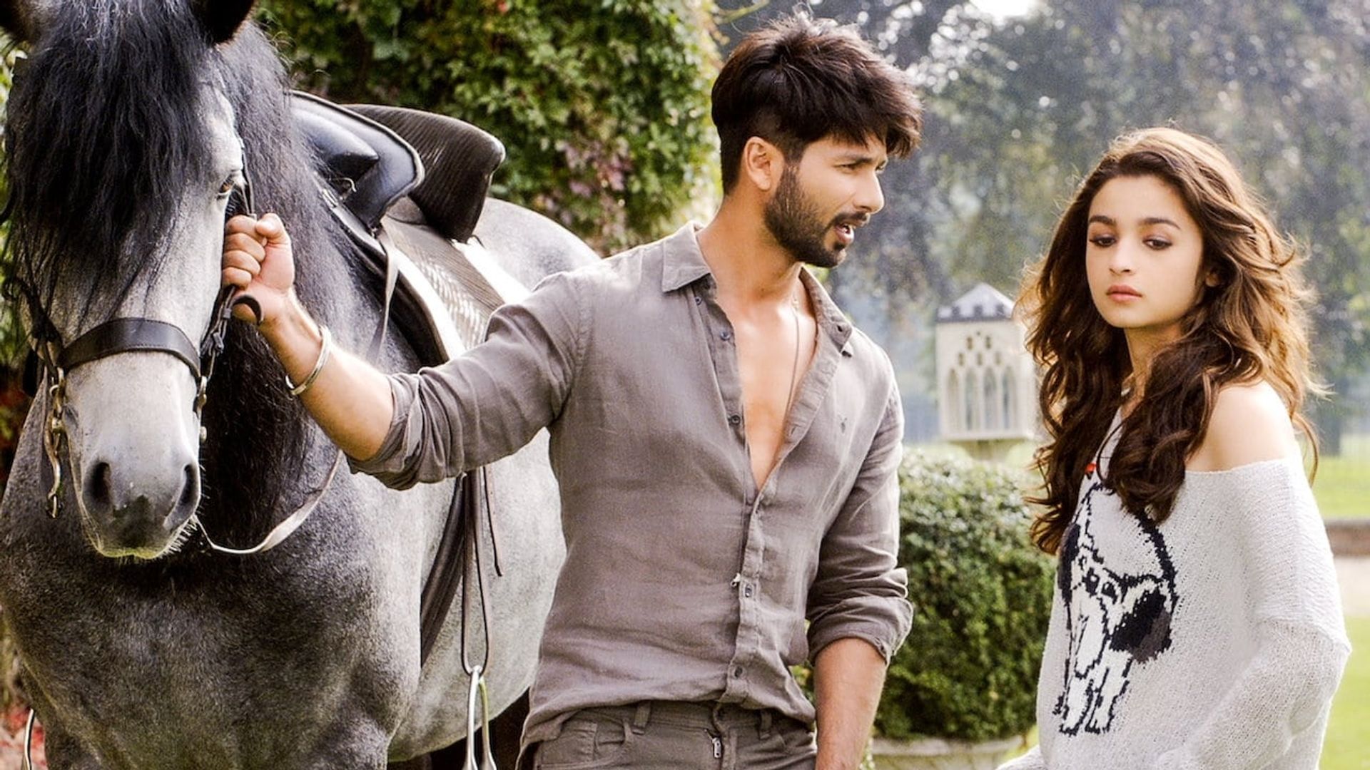 Shaandaar background