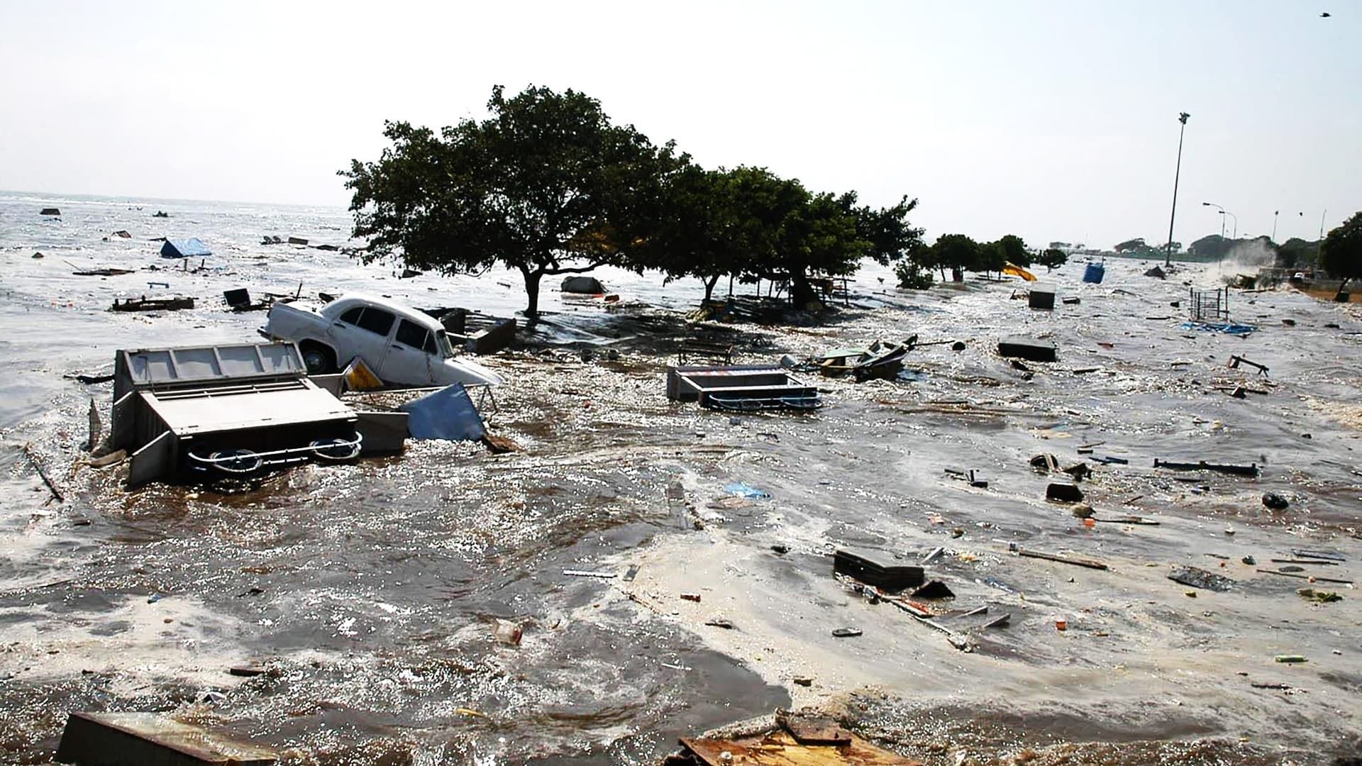 Asian Tsunami: The Deadliest Wave background