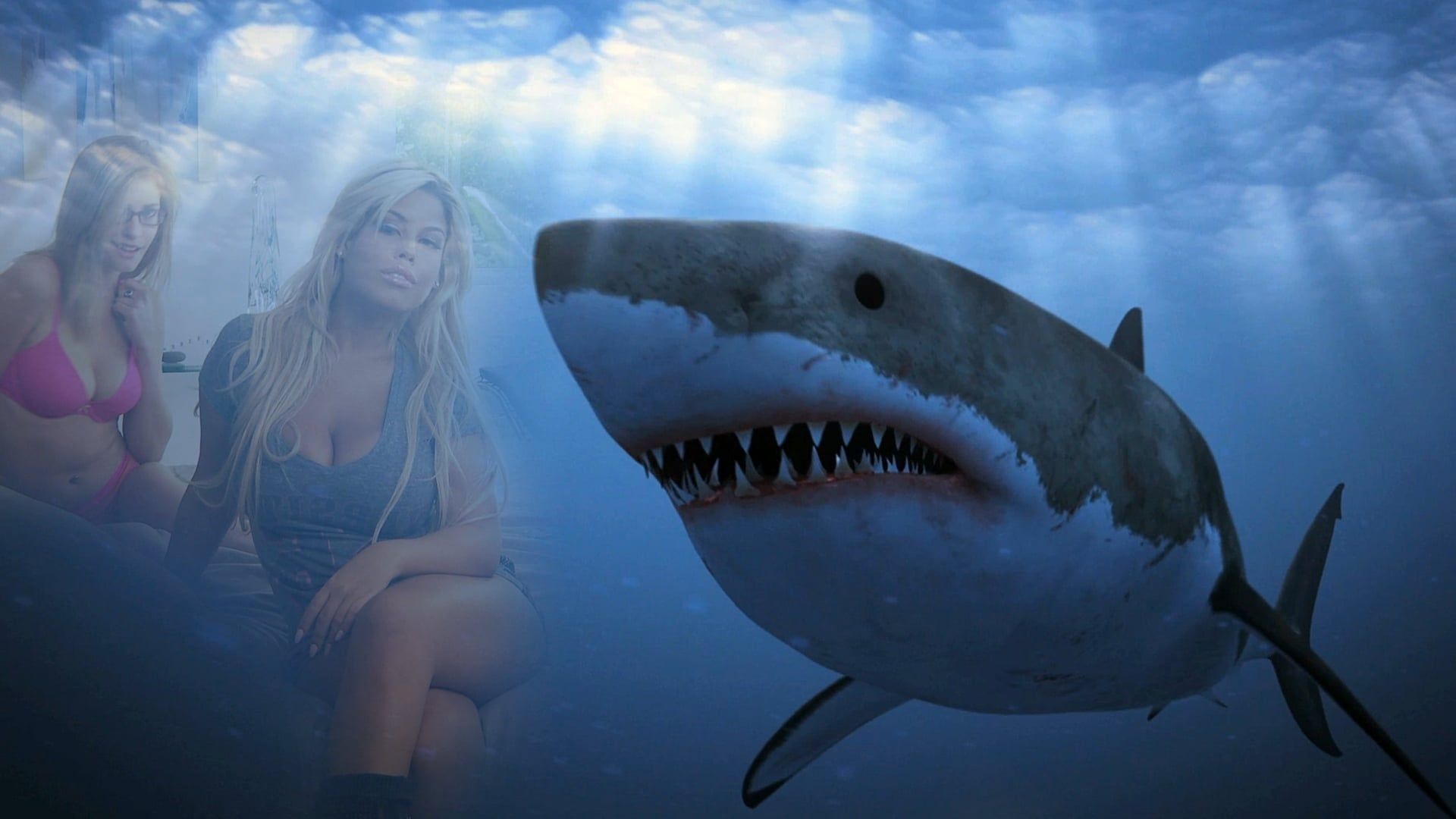 Shark Babes background