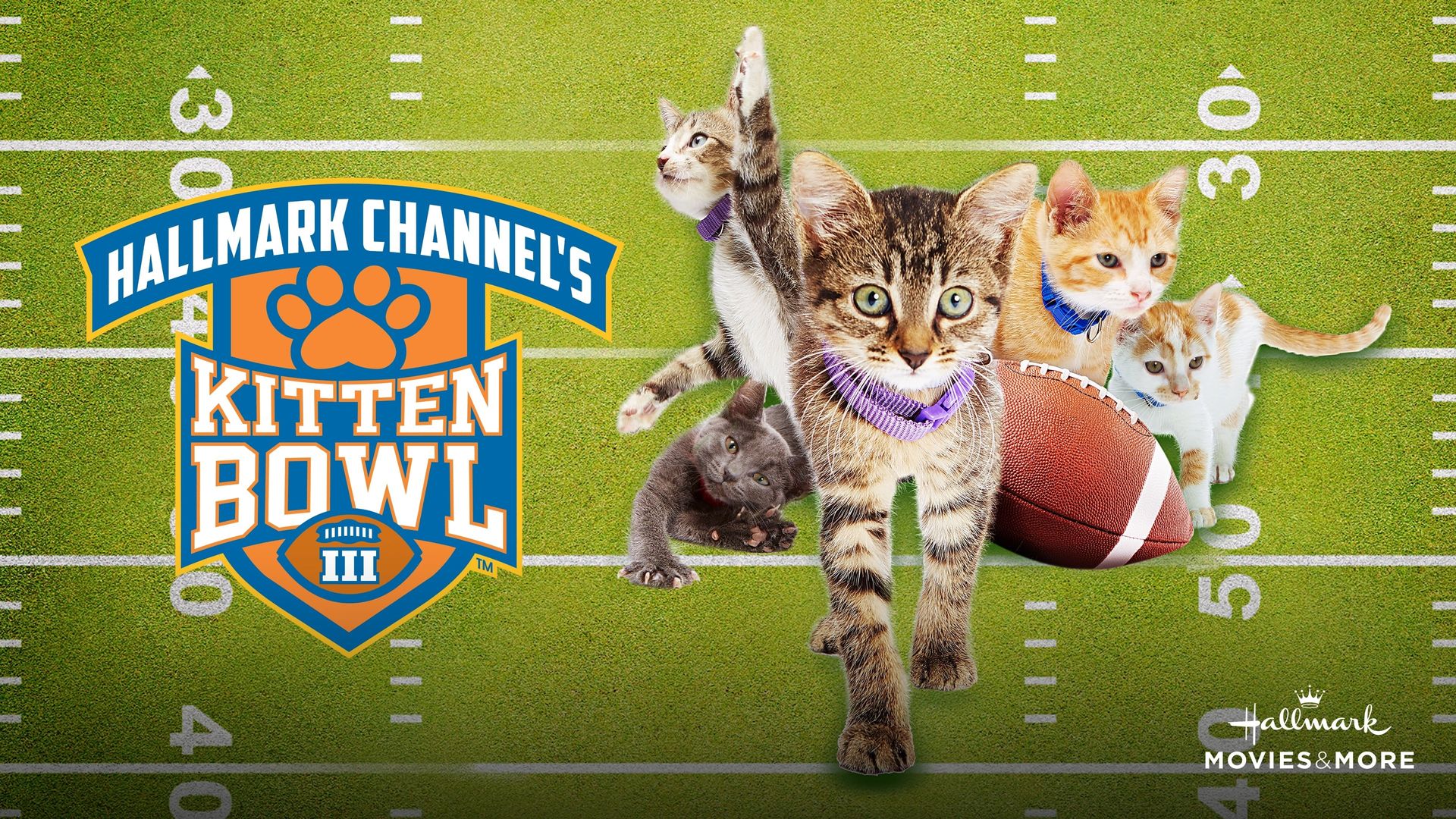 Kitten Bowl III background