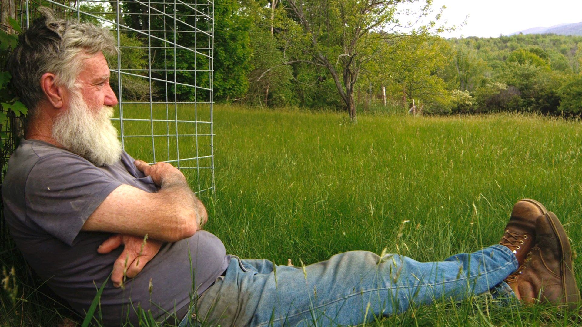 Peter and the Farm background