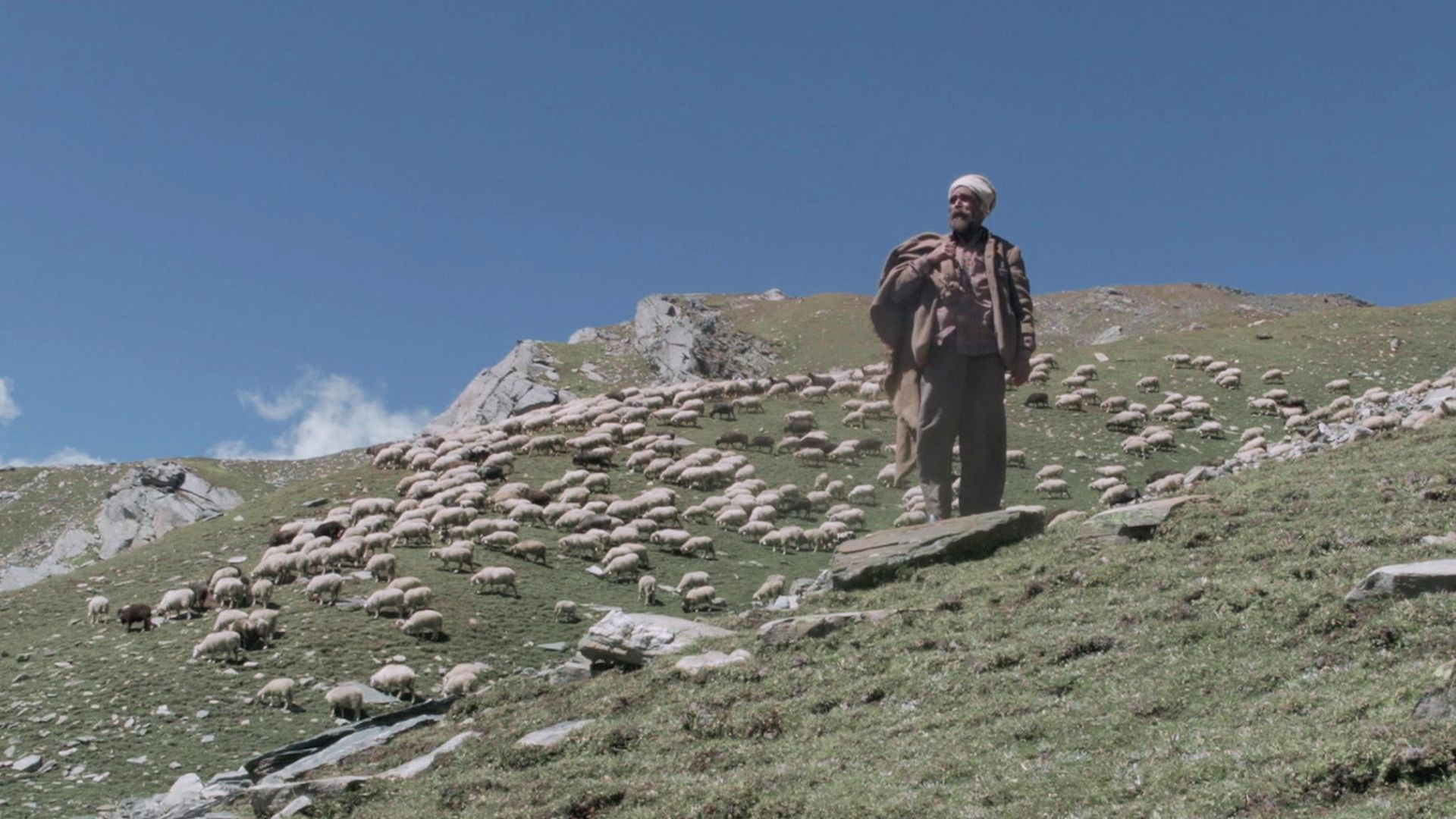 The Gold-Laden Sheep and the Sacred Mountain background