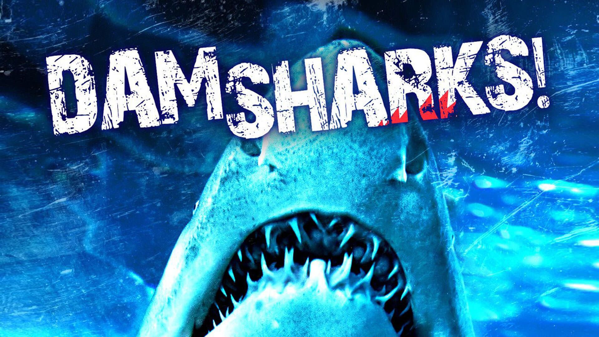 Dam Sharks background