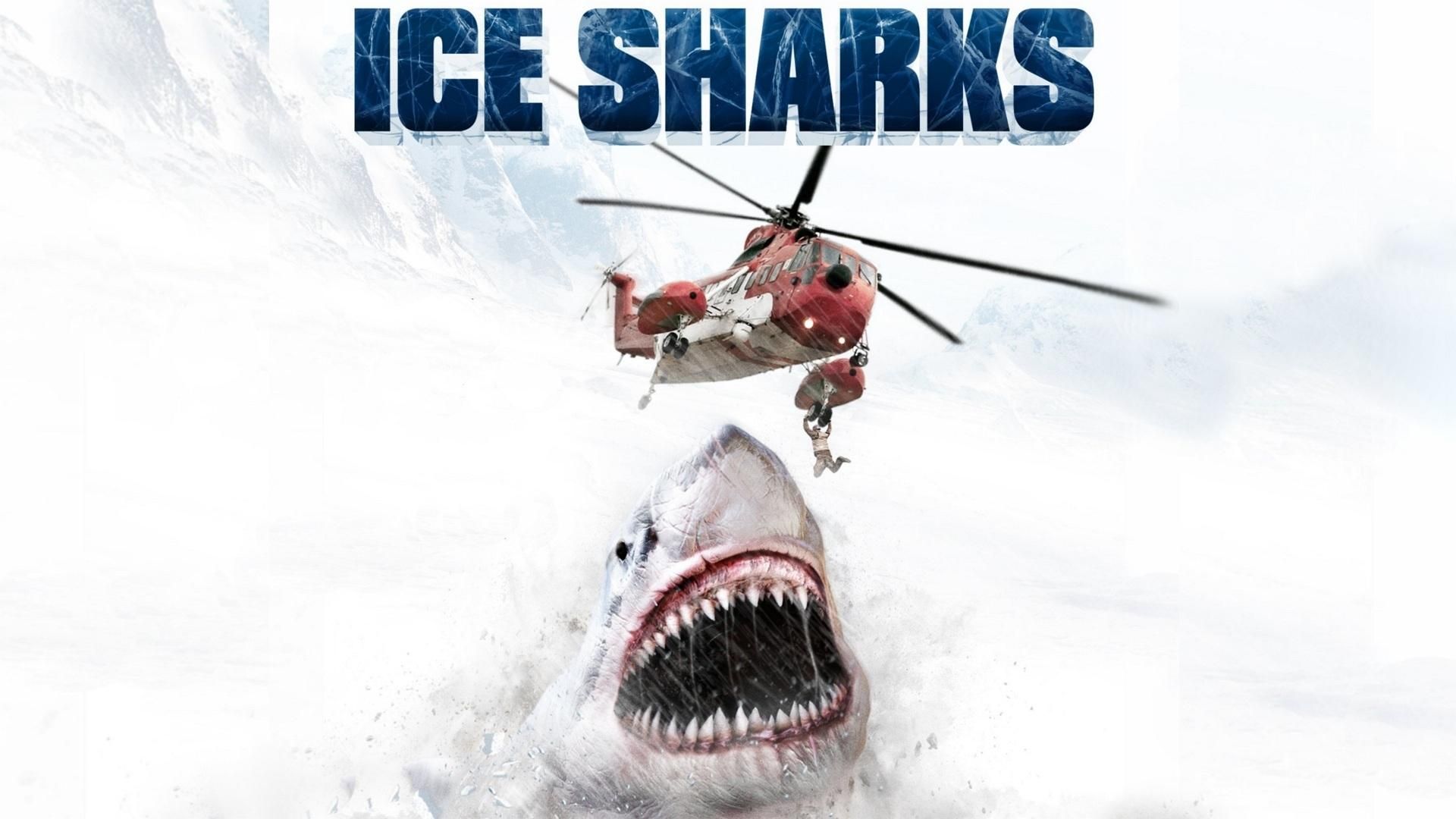 Ice Sharks background