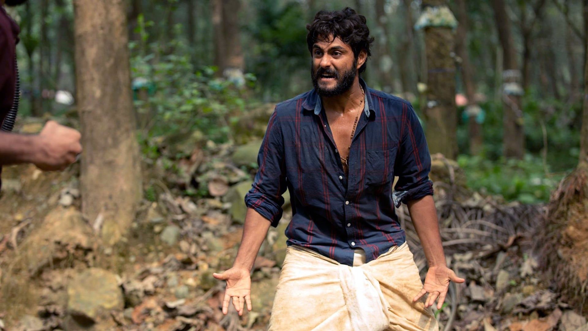 Angamaly Diaries background