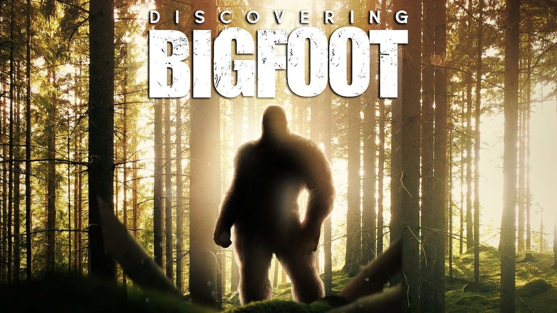 Discovering Bigfoot background