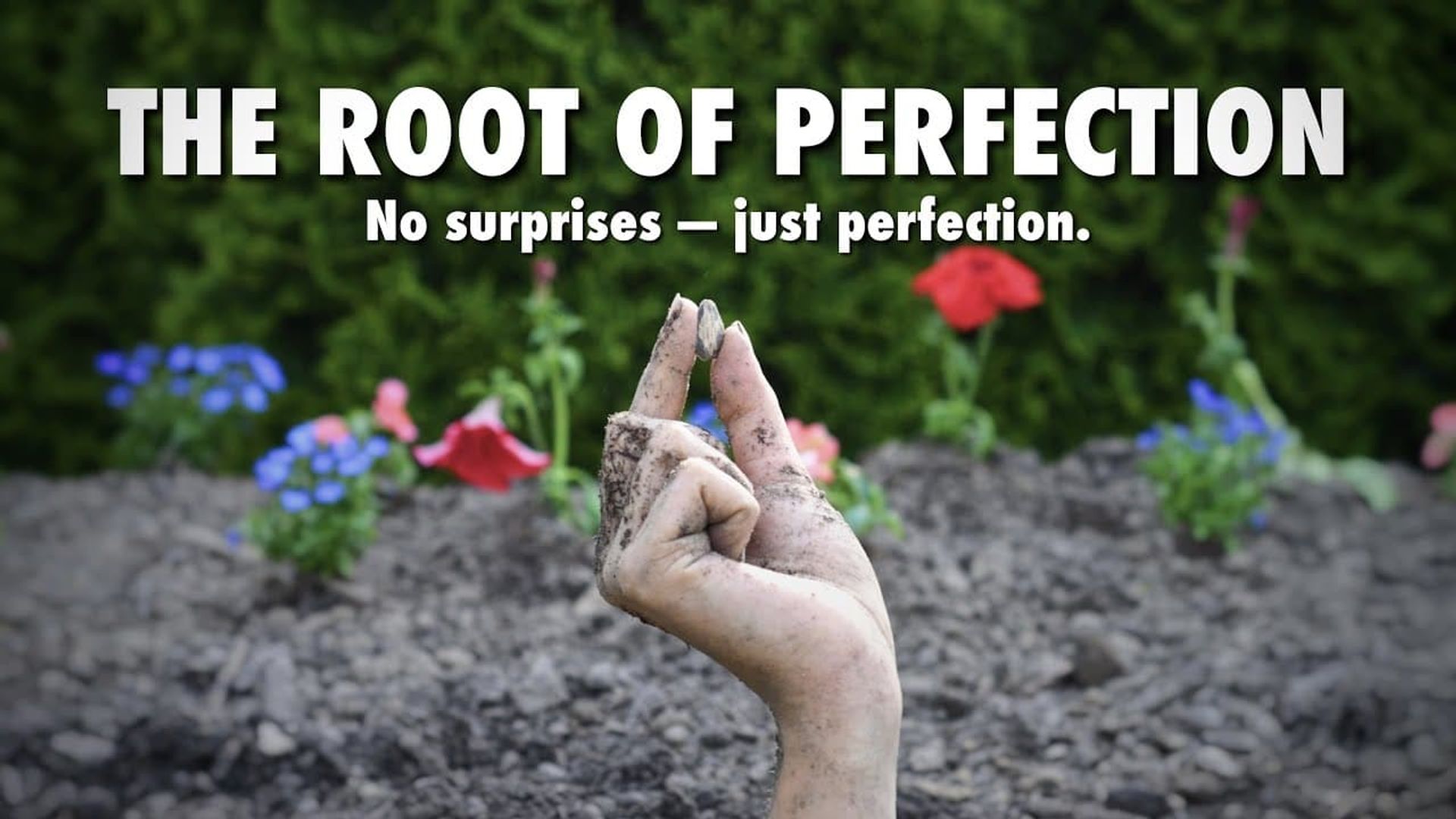 The Root of Perfection background