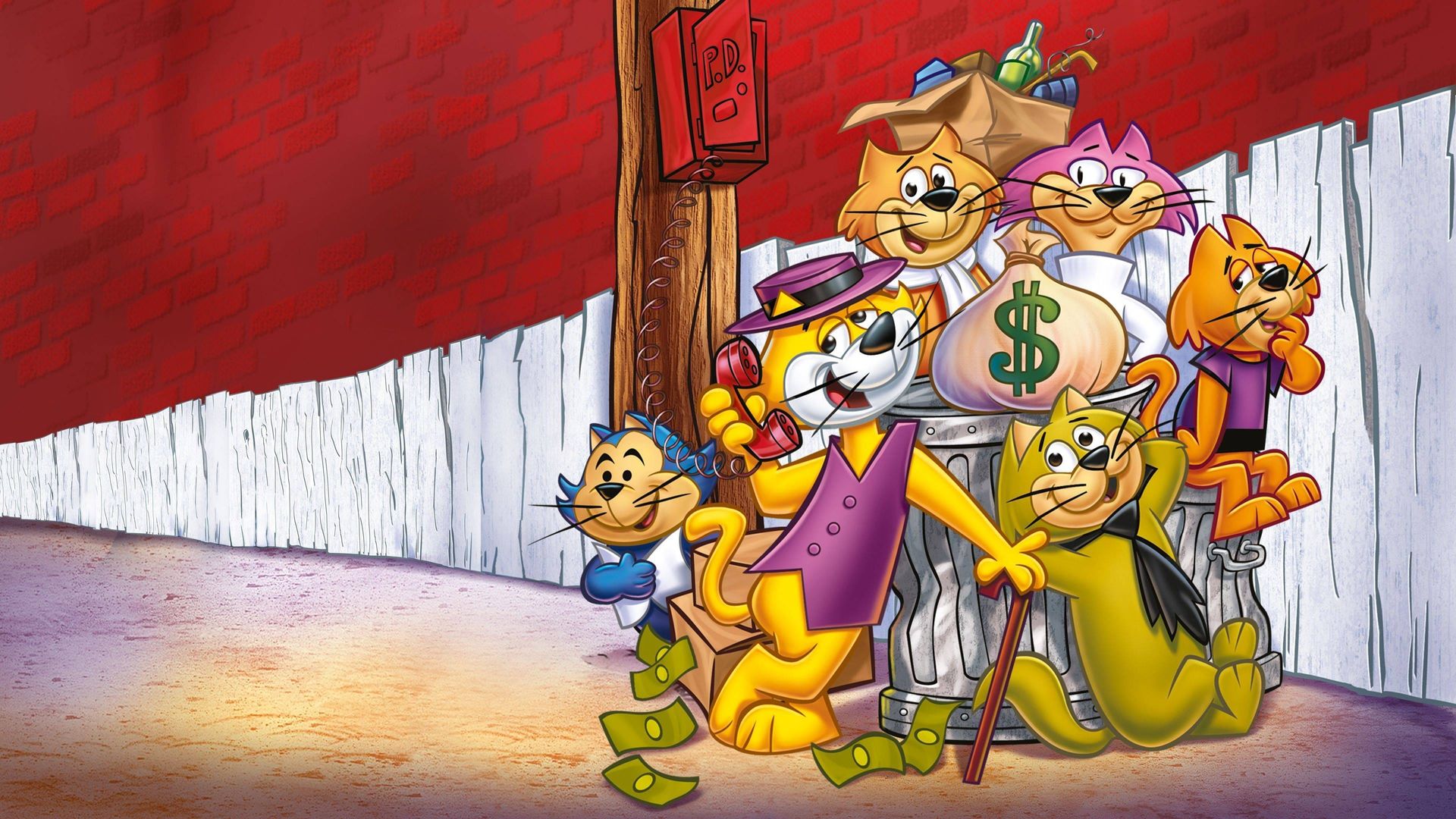 Top Cat background