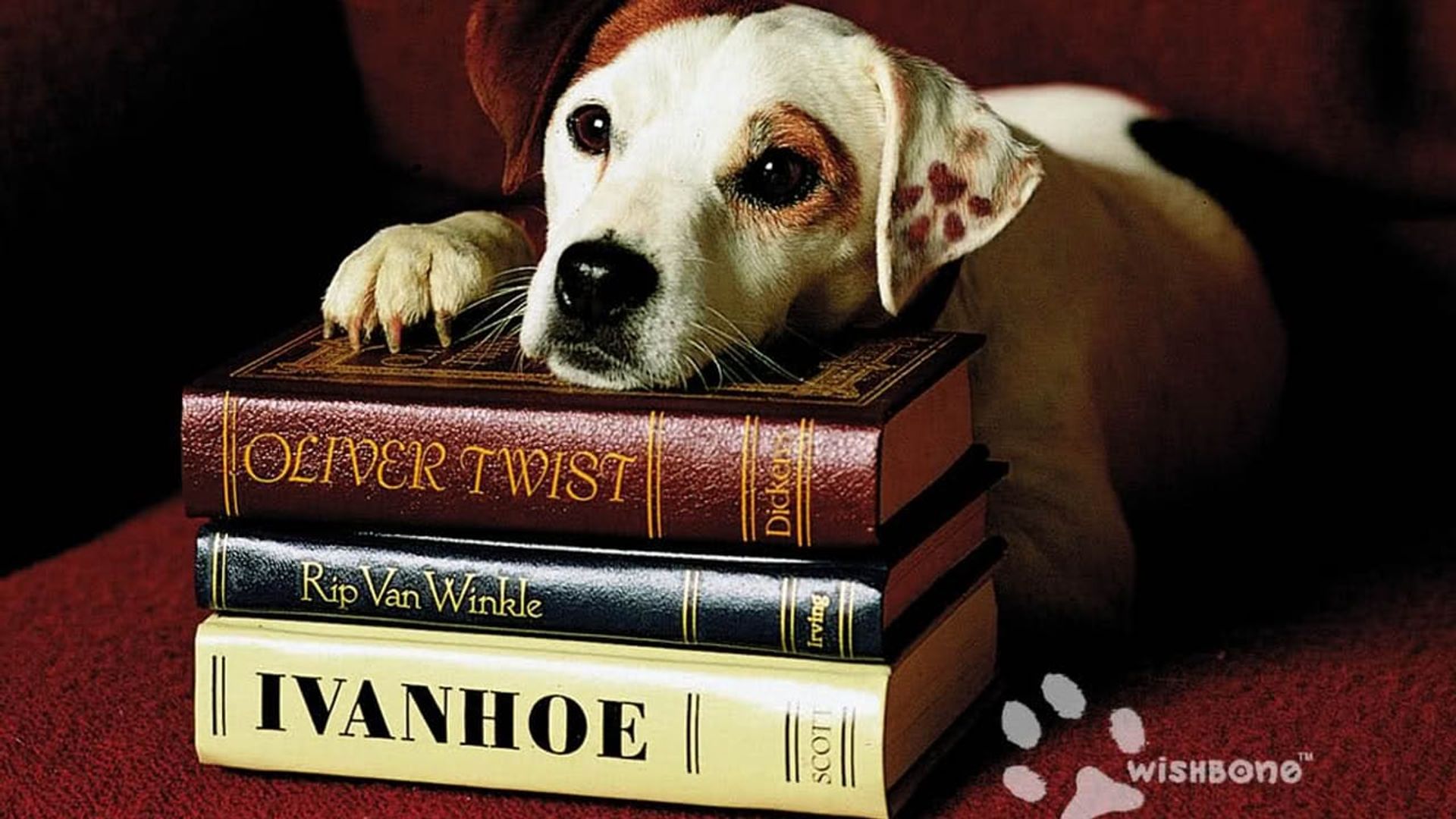 Wishbone background