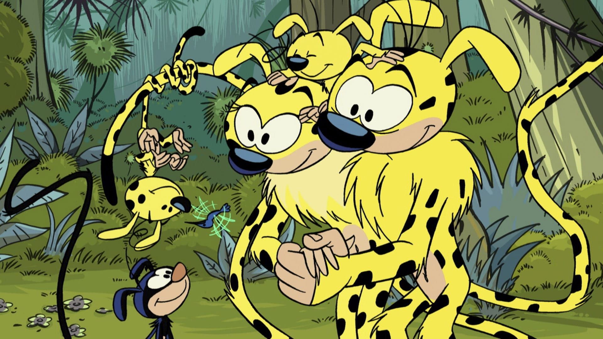 Marsupilami background