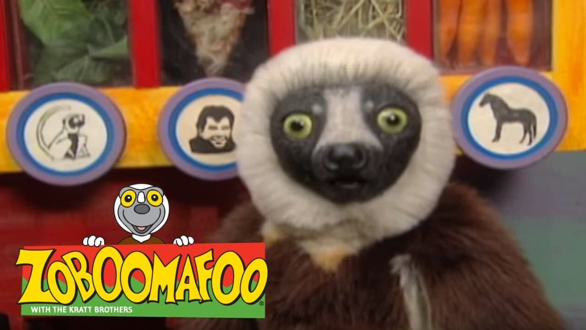 Zoboomafoo background