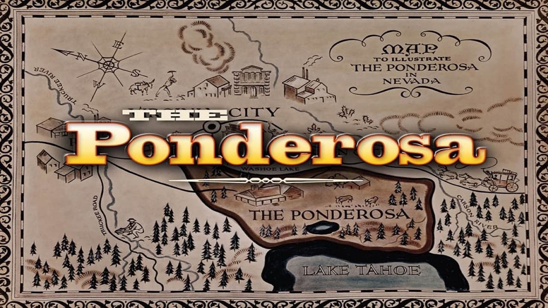 Ponderosa background