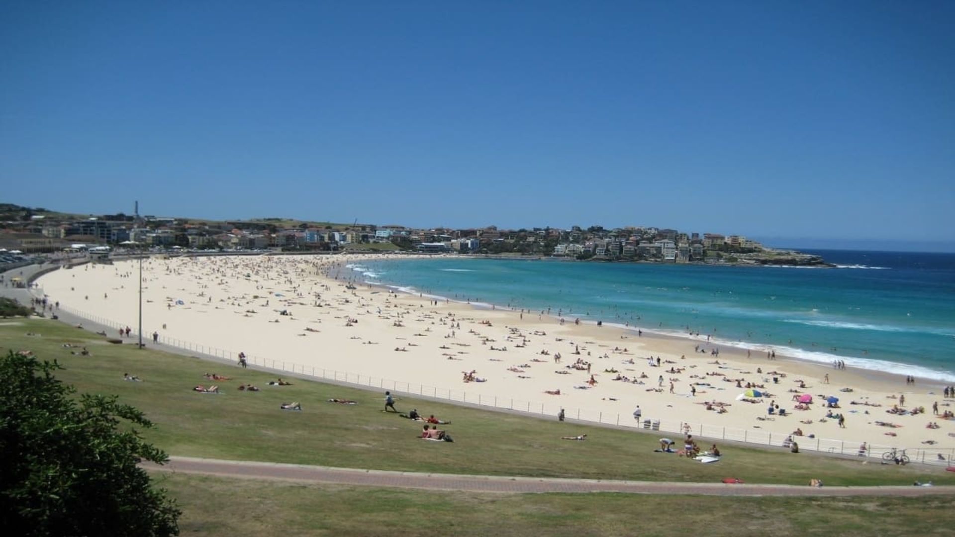 Bondi Rescue background