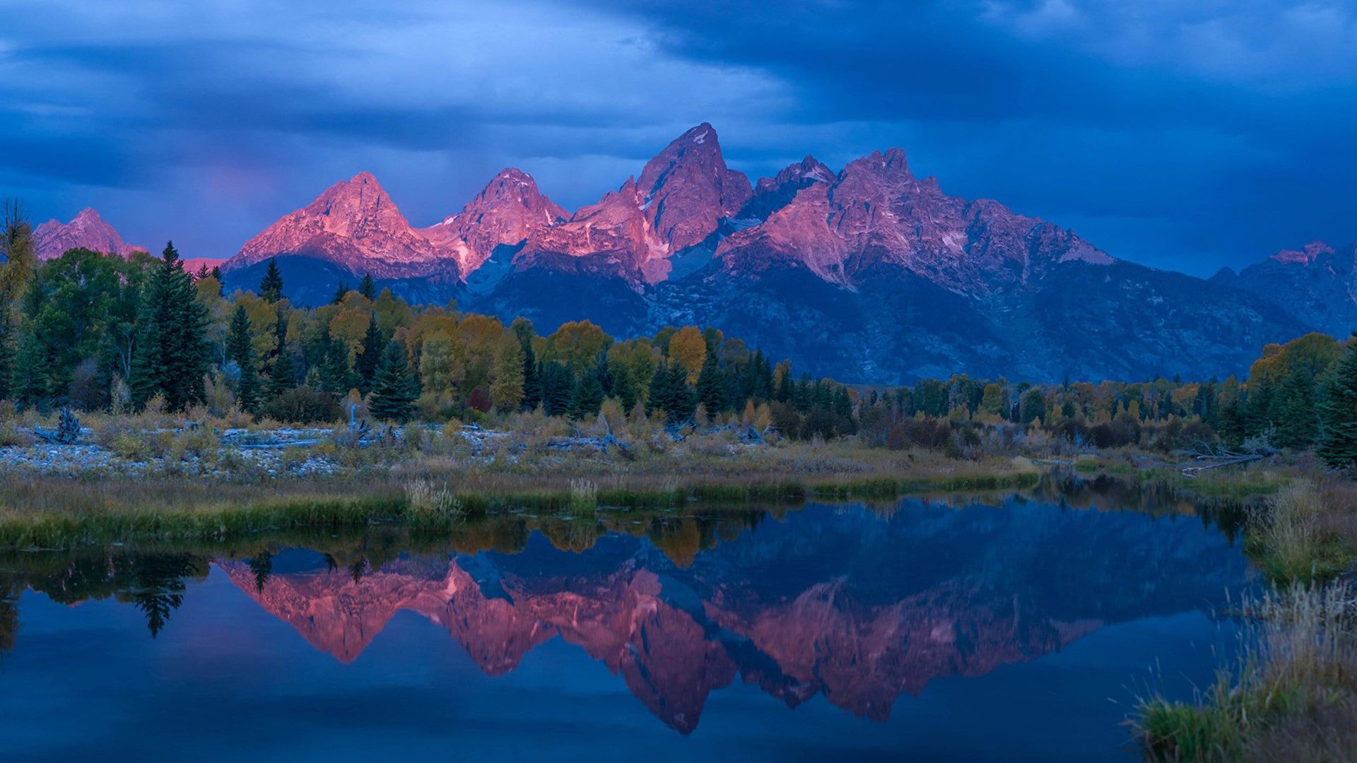 Wild Yellowstone background