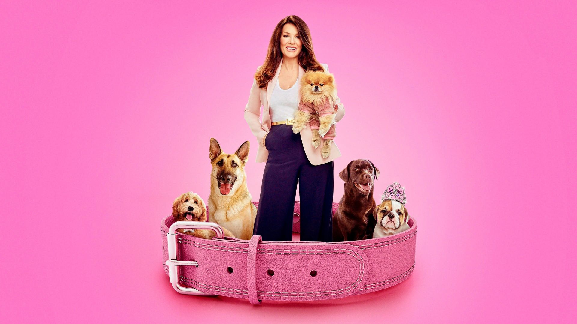 Vanderpump Dogs background