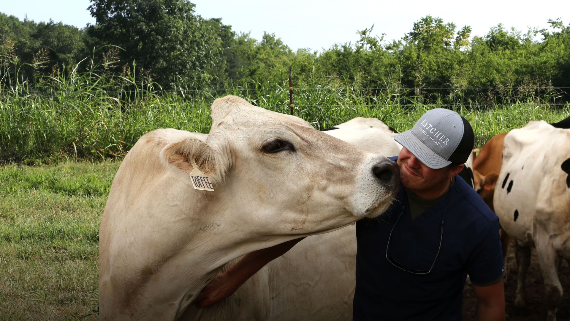 The Hatcher Family Dairy background