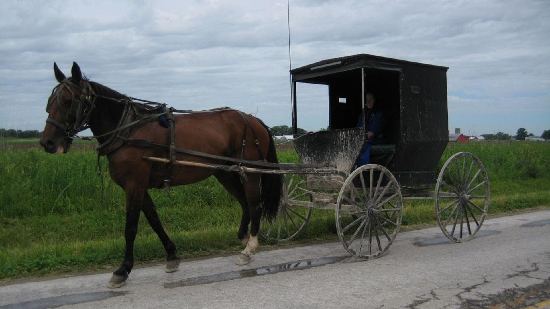 Amish: Out of Order background