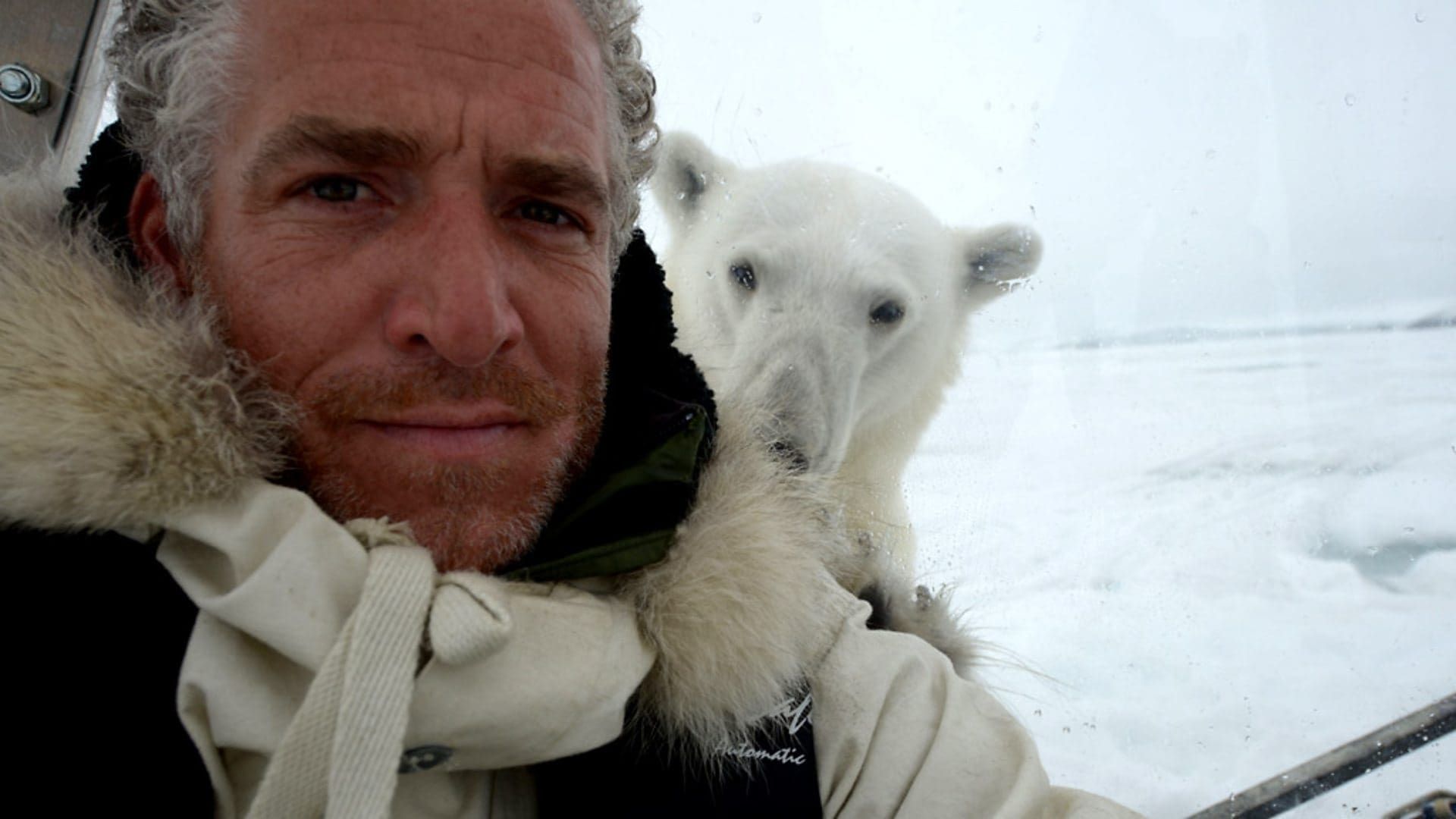 The Polar Bear Family and Me background