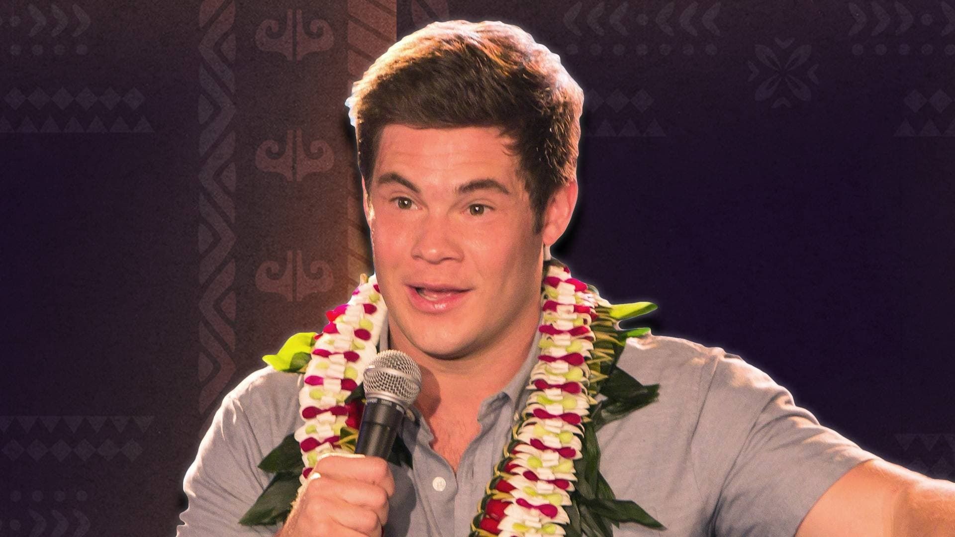 Adam Devine's House Party background