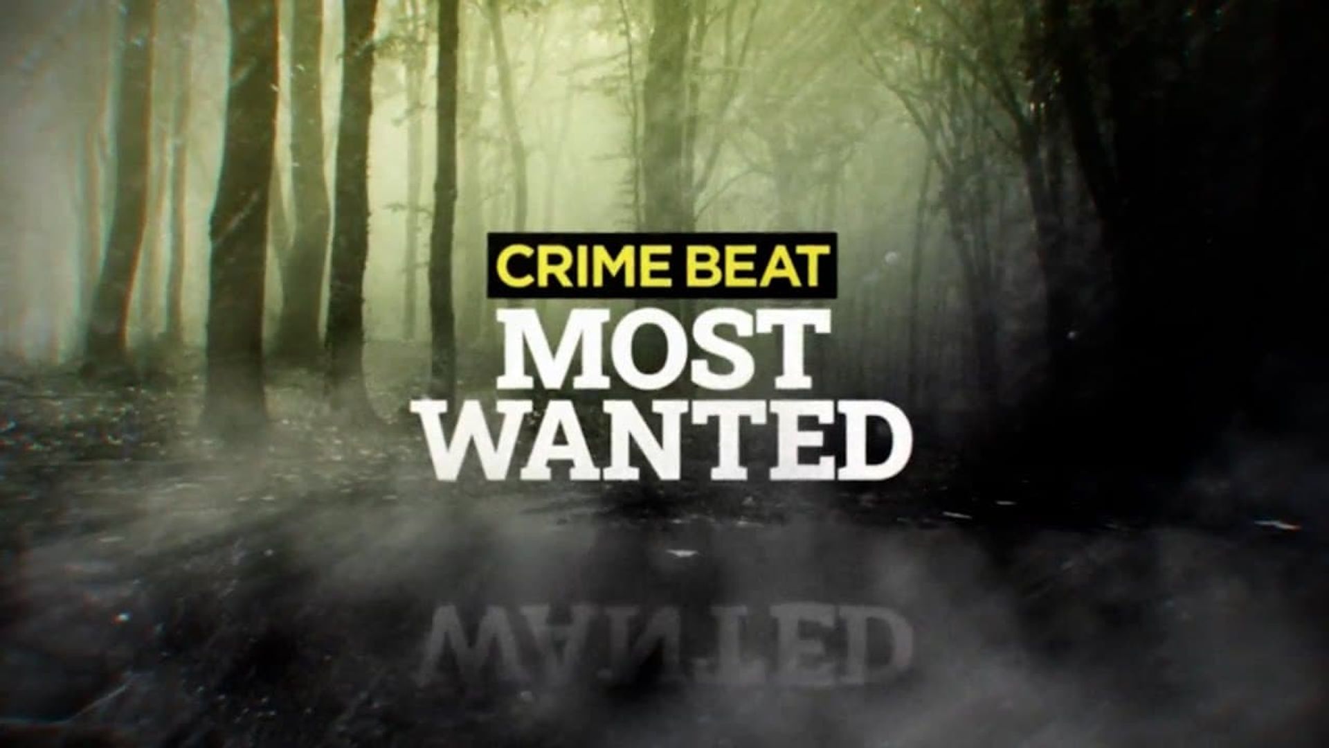 Crime Beat: Most Wanted background