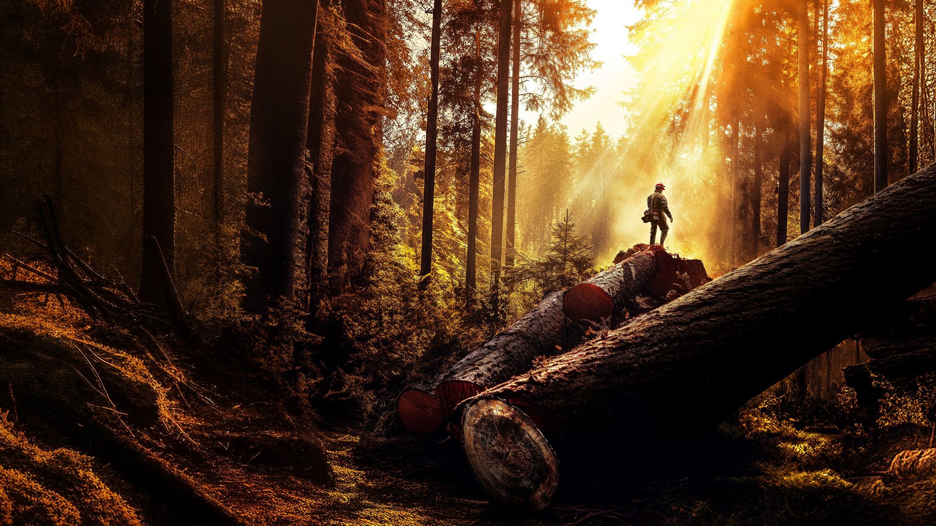 The Last Woodsmen background