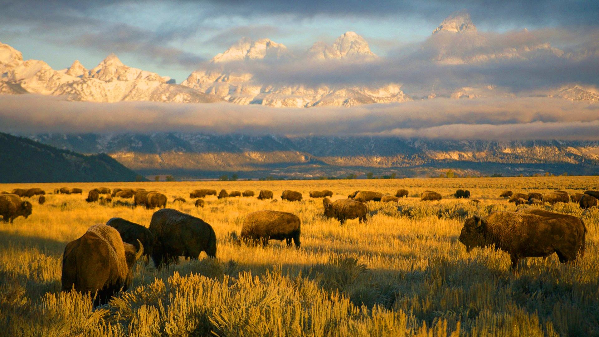 America's National Parks background