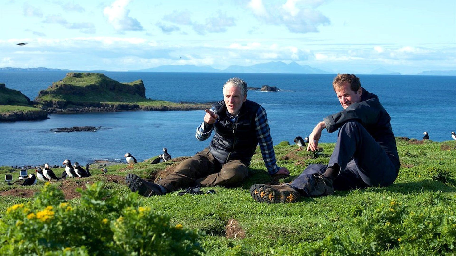 Into the Wild with Gordon Buchanan background