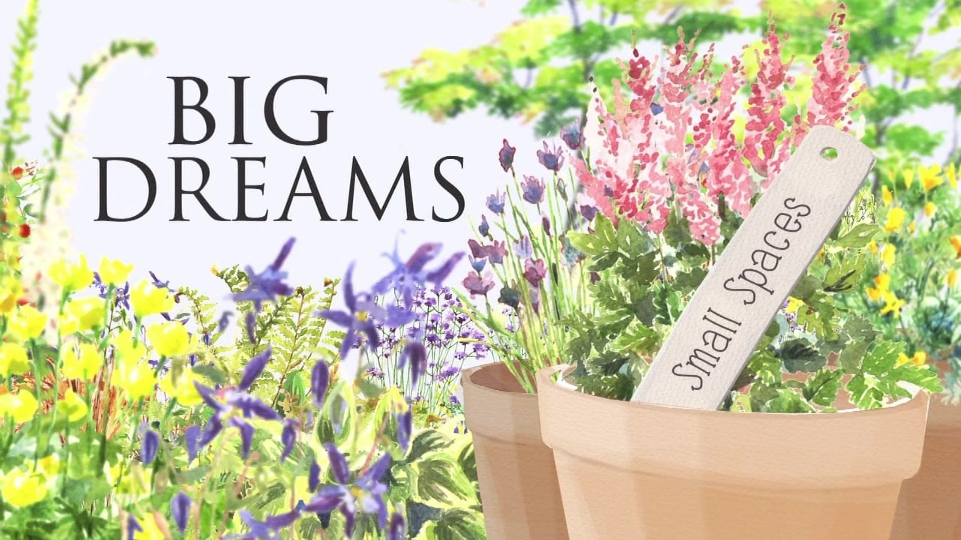 Big Dreams, Small Spaces background