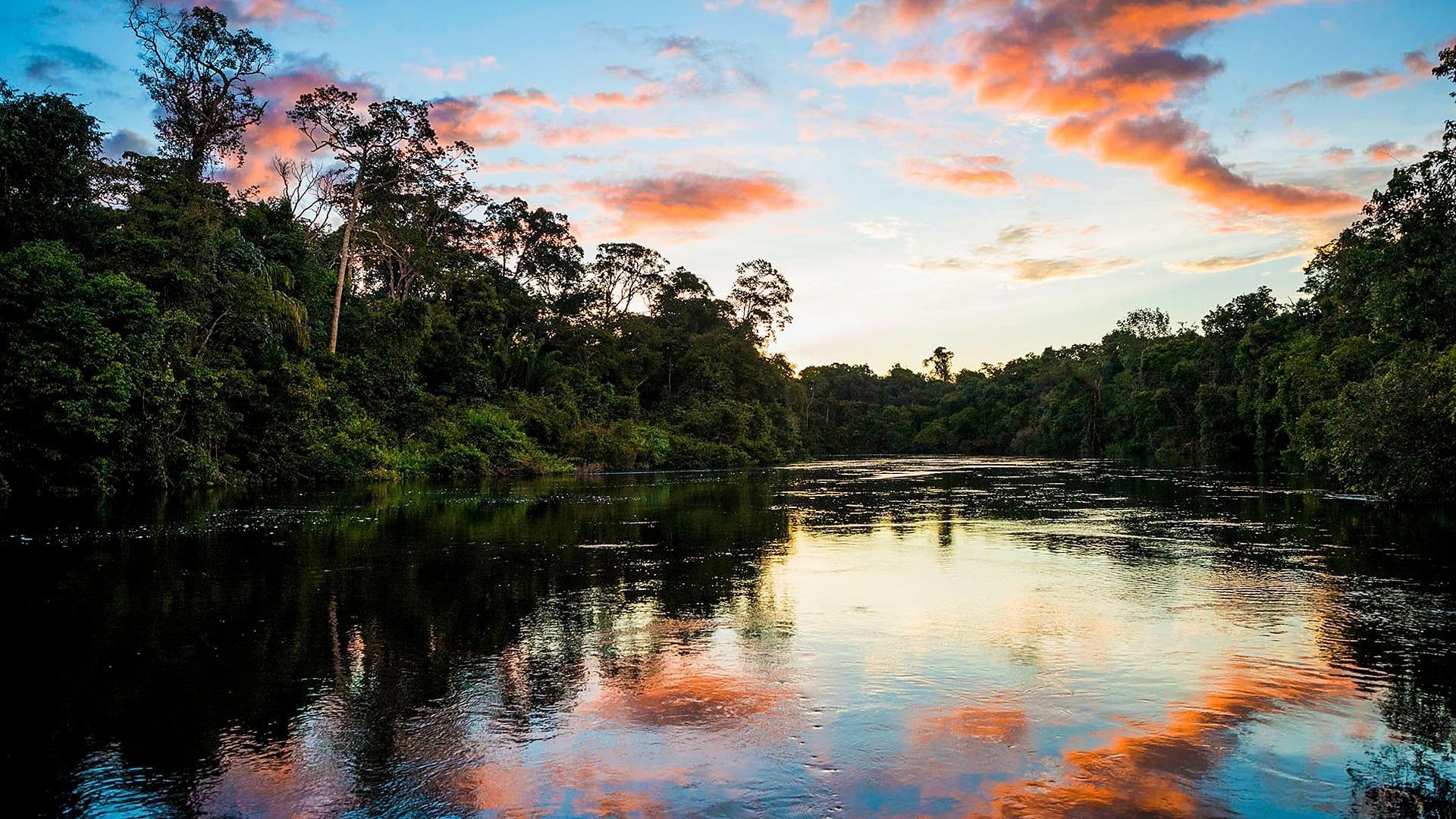 Earth's Great Rivers background