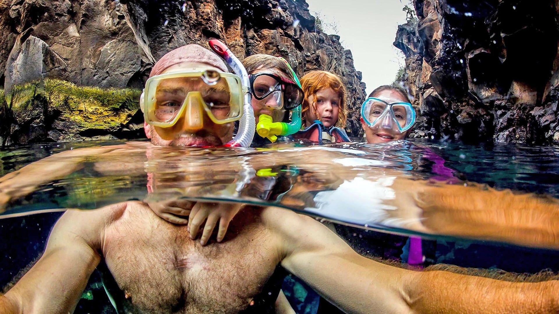 My Family and the Galapagos background