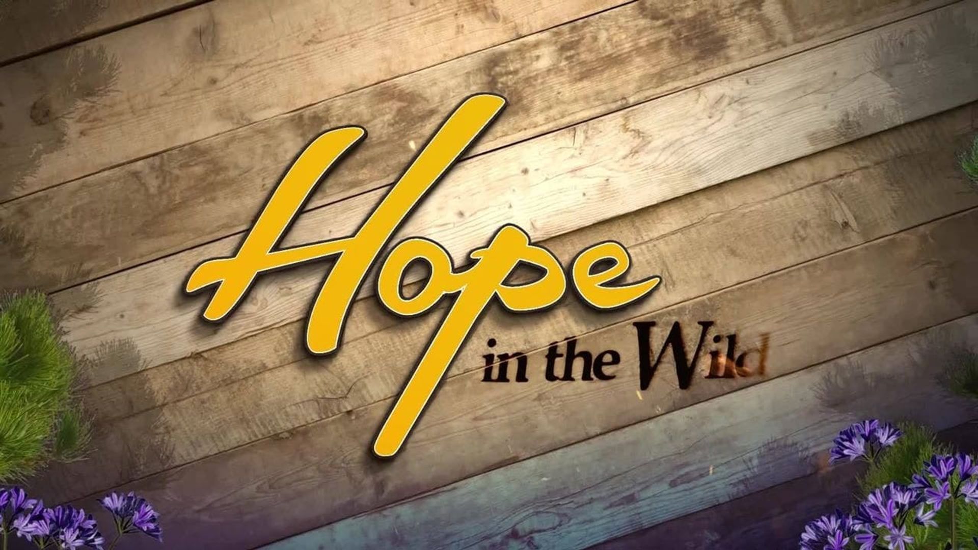 Hope in the Wild background