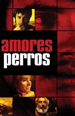 Amores Perros