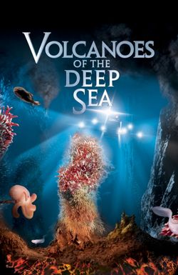 Volcanoes of the Deep Sea