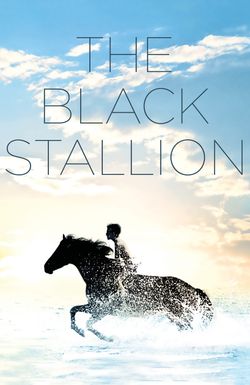 The Black Stallion