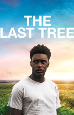 The Last Tree