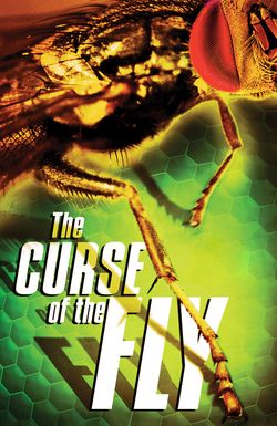 Curse of the Fly